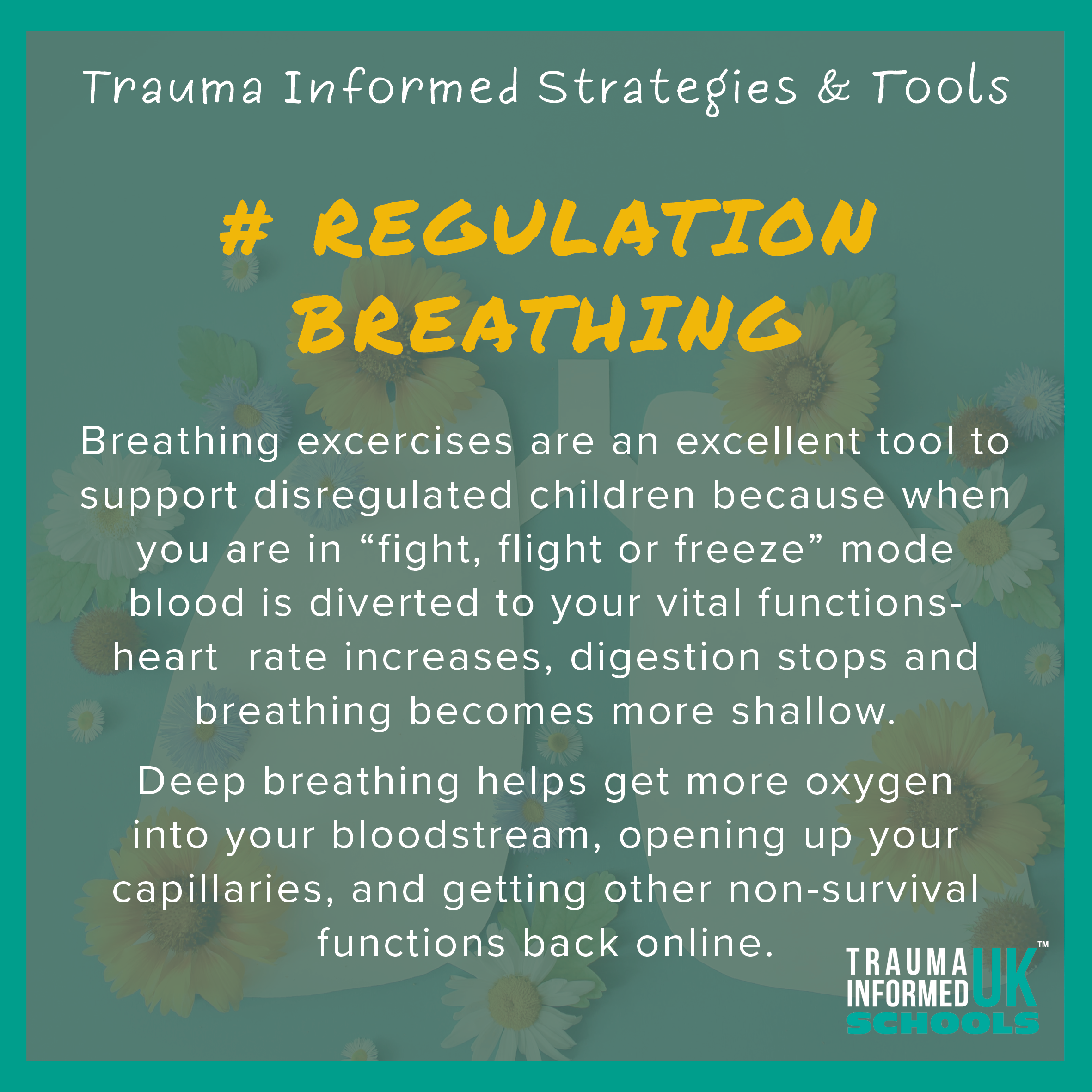 Regulation Breathing